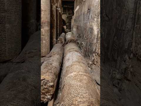 Ancient Doors Recently Opened—What Was Inside Shocked Archaeologists
