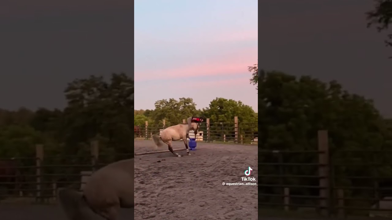 mama the say im a terrorist... 