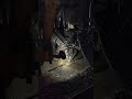 Housatonic Rail Upgrade #3: Spikes going in
