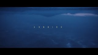 Sonbird - Ląd chords