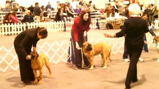 DSCF0006.AVI