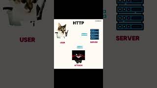 Information HTTP vs HTTPS Just one letter... but a HUGE security difference! 🔒 #https #http  # #websecurity #ai Update