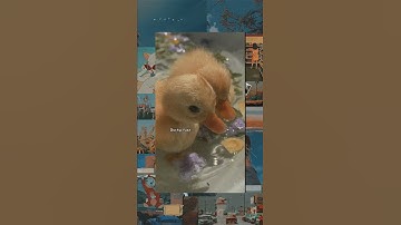 Fuzzy duck 👽🍷🔥..... #bts #v #taehyung #shorts #trending #viral