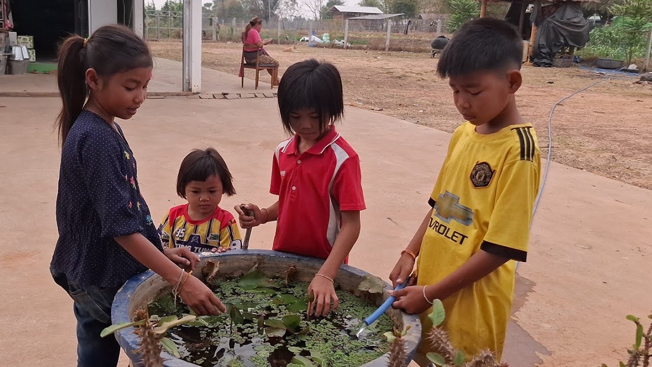 เด็กๆขยันมากตื่นเช้ามาช่วยกันทำนันทำนี่ 24 กุมภาพันธ์ ค.ศ. 2026