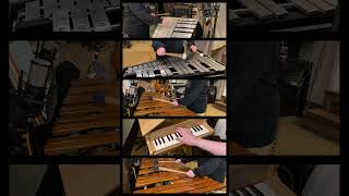 Bluebird of Misfortune aka #berdly theme from #deltarune for percussion ensemble! #percussion #vgm
🚨 Watch the full video 🚨
https://youtu.be/vF0GbDQI2FY
⭐ Sheet music ⭐
https://www.musicnotes.com/l/dz3hJ
🎧 Listen to this song on streaming services 🎧
https://song.link/vronmedia-bluebirdofmisfortune
#VGM #deltarune #bluebirdofmisfortune #berdly #deltarunemusic #deltaruneshorts #percussion #percussionensemble #quintet #cover #coversong #music #videogamemusic #glockenspiel #vibraphone #marimba #vgm Bluebird of Misfortune aka #berdly theme from #deltarune for percussion ensemble! #percussion #vgm