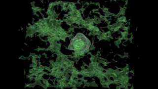 Star Formation A Simulation