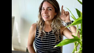 What is Auditory Verbal Therapy (AVT)?? + My Favorite websites + Myth Busters!