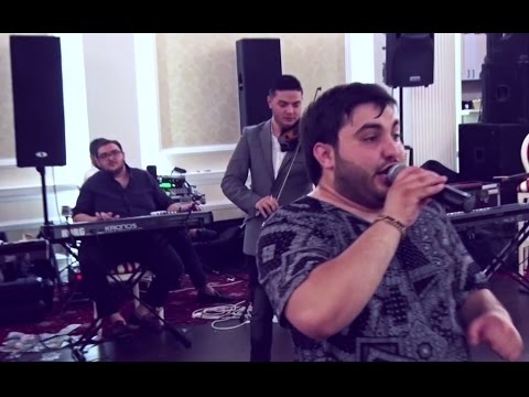 SUPER RECITAL LIVE 2016 - Danut Ardeleanu și Formația Mierea României
