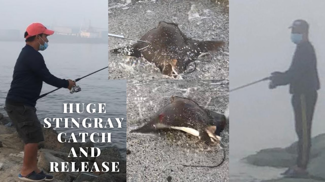 HUGE STINGRAY - CATCH & RELEASE | VLOG #15 | UAE
