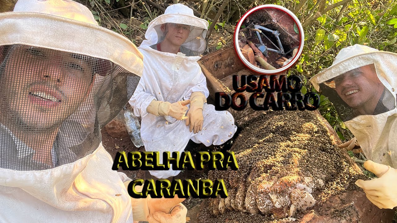 ESSE RESGATE de ENXAME ficou para HISTÓRIA