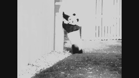 News Item (7ad204ec-4a04-3dd3-95a9-3630b108037b)