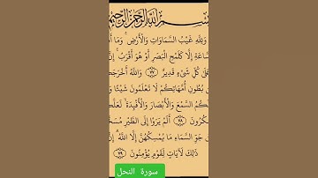 #❤️بسم الله الرحمن الرحيم ❤️ #❤️ماتيسر من سورة النحل ❤️#القرآن الكريم ❤️❤️