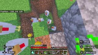 Live Minecraft Fr