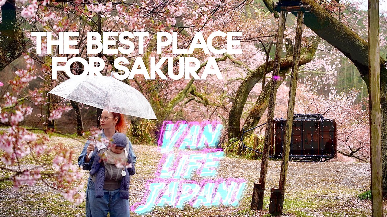 Takato Castle Ruins • #1 Place for CHERRY BLOSSOMS • Japan van life trip e9
