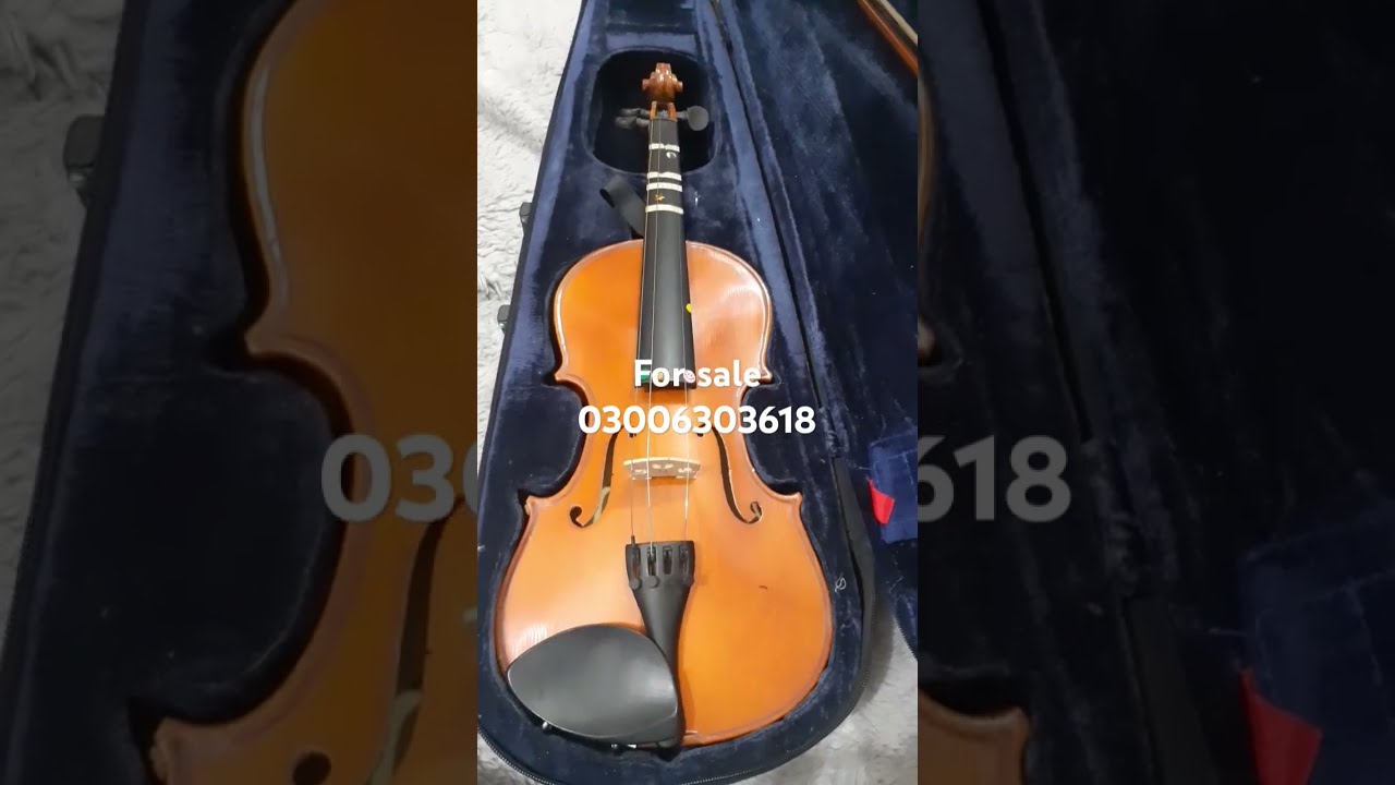 Violin Stentor Student ll 4/4 - YouTube