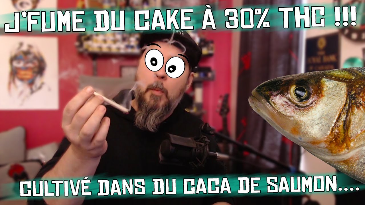 J'fume un CAKE à 30% de THC! Cultivé en aquaponie par HABITAT distribué par Shelter Market weed