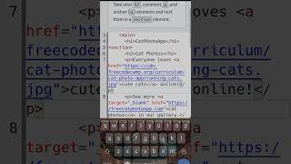 Celebrity Freecodecamp solution [Responsive web design] step 18 Wealth