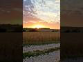 Beautiful Sunset Timelapse #sunset #sunsetaddict #sunsetserenity