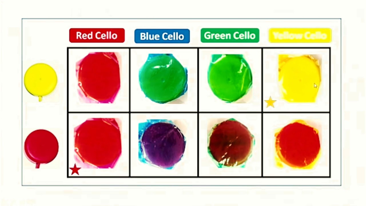 Course 510 Organizing Practical Work. nios deled english lecture