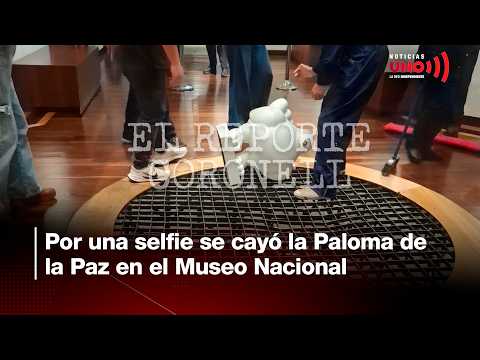 Botero's "Dove of Peace" falls at the National Museum due to a selfie | Noticias UNO