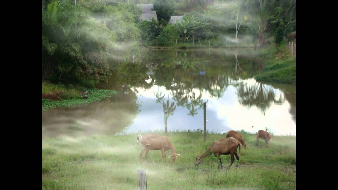 Leyenda  Caballo Cocha.mpg