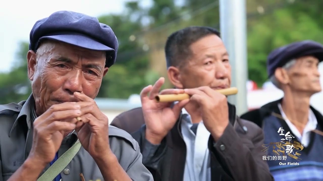 哈尼族与梯田之约：你不知道的昂玛突与苦扎扎节【生命之歌】