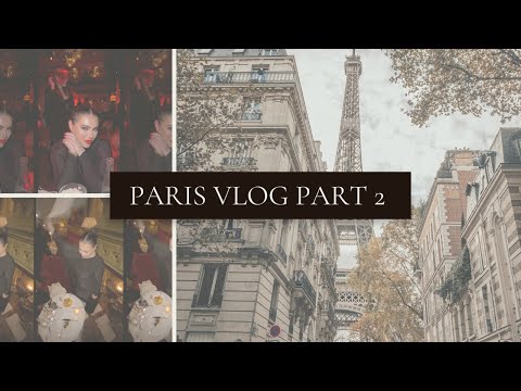 TRAVEL DIARIES PART 2: PARIS | DRAMA AT HERMES, Drunk Luxury Shopping, and NYE Celebrations