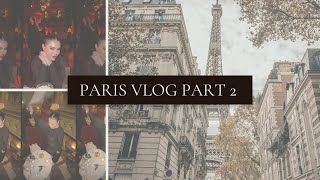 TRAVEL DIARIES PART 2: PARIS | DRAMA AT HERMES, Drunk Luxury Shopping, and NYE Celebrations
