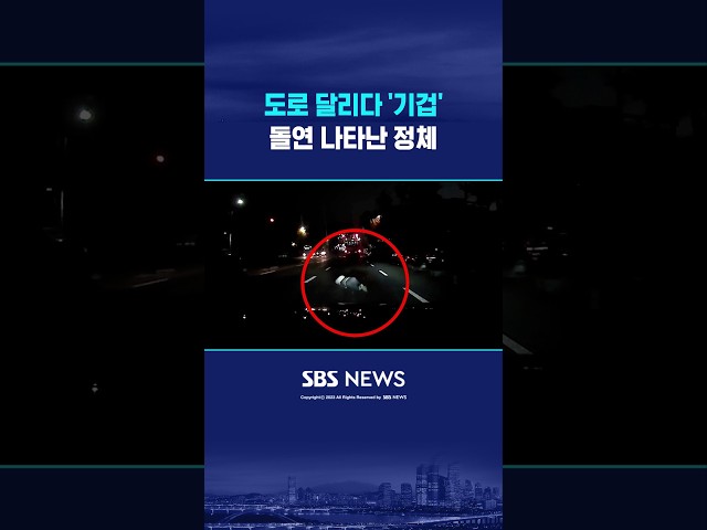 도로 달리다 '기겁'..돌연 나타난 정체 #shorts