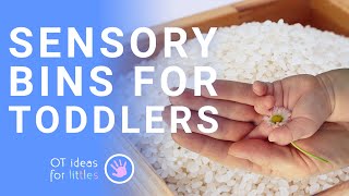 Sensory Bins for Toddlers l Set-up and Barriers