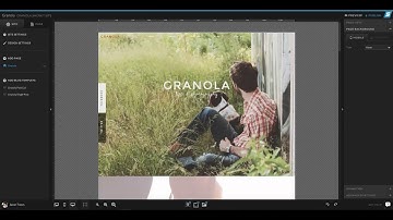 Site Settings in Showit 5