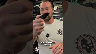 Elite Tactical Sidearm Knife: Sharp, Durable, & Ergonomic! #shorts @kombativ_com
