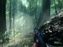 Crysis-Jungle map(high detailed map)