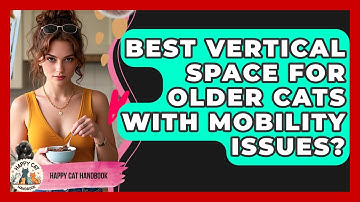 Best Vertical Space For Older Cats With Mobility Issues? - Happy Cat Handbook
