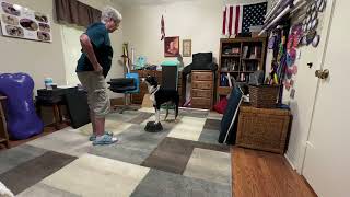 P-R-R Crating Mark Drop Mark And Paws Up Back Feet Rotate