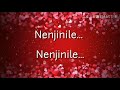 Nenjinile Nenjinile song with Lyrics நெஞ்சினிலே Uyire movie Mp3 Song