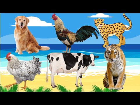 Cute Animals 🥰 Horse, chicken, dog, cow, rooster, kitten | Funny animal sounds