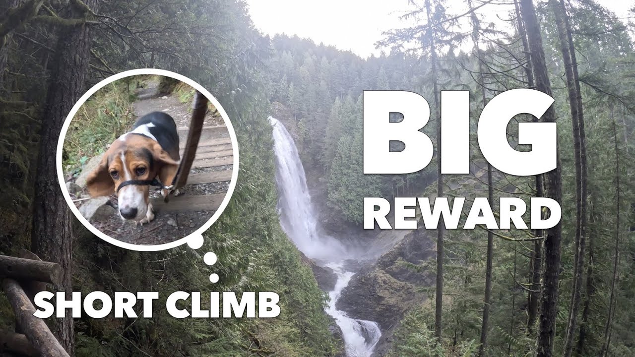 Wallace Falls: When you just need some miles on a Saturday morning