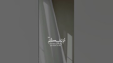 الله الذي خلقكم ثم رزقكم ثم يميتكم ثم يحييكم | سورة الروم | القارئ عبدالرحمن الماجد