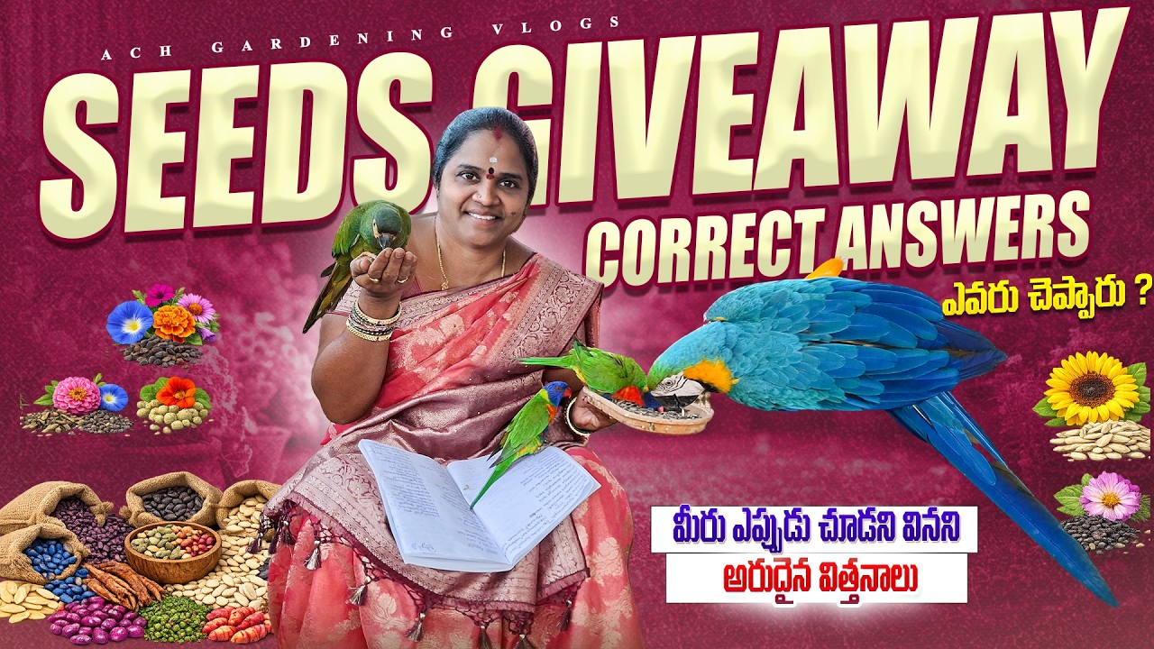 Free seeds Giveaway లో Correct answers చెప్పినవాళ్ళు వీళ్ళే#gardening #trending 