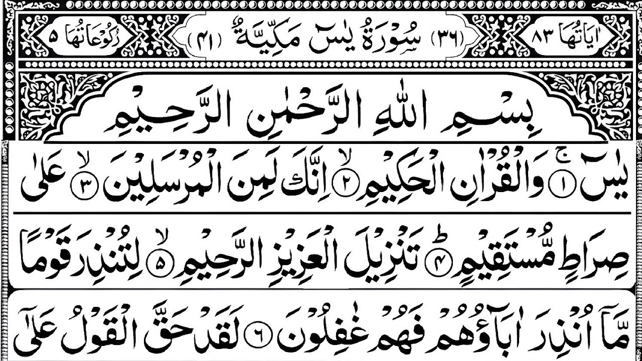 Surah Yaseen | Yasin Dua | Ep 733 |Daily Quran Tilawat | Surah Yasin Surah Rahman Surah Mulk