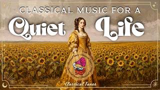 Classical Music For A Quiet Life | A Gentle Sweeping Away Of Mental Clutter