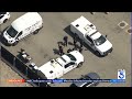 Hundreds of cats rescued in Upland
