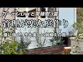 【ガーデンDIY】鉢の目隠し&内窓作り・オススメ常緑樹3選・バラを減らして管理が楽な庭にリニューアル