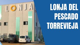Subasta de pescado en la nueva lonja pesquera de Torrevieja