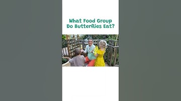 Belle and Butterfly Scavenger Hunt: Learn Protein with Gaston and Carbs with Butterflies