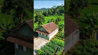 Hidup Tenang di Desa — Rumah Sederhana di Tengah Sawah yang Bikin Hati Adem