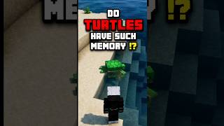 Turtles always swim back because... #minecraft #shorts