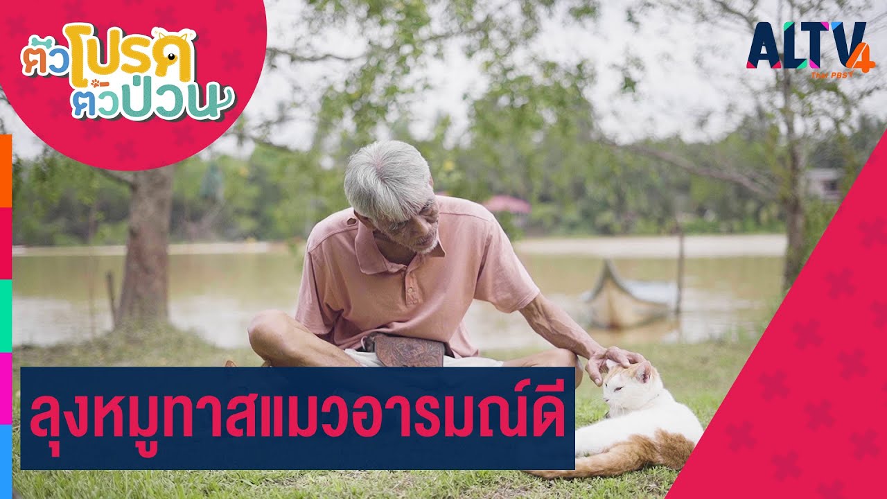 ลุงหมูทาสแมวอารมณ์ดี | ตัวโปรด ตัวป่วน (6 พ.ค. 65)