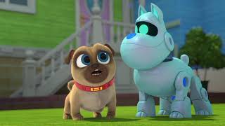 Puppy Dog Pals – Clip | My Bobby Valentine  | Disney Jr